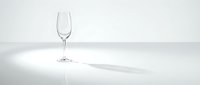 Empty champagne flute glass on white background with soft shadow, minimalist elegant glassware for celebrations and special occasions.