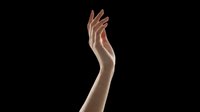 Elegant female hand with medium skin tone raised gracefully, fingers curved in expressive gesture. Isolated on transparent background, ready for design use on t-shirts, clipart, stickers, print-on-demand products, and sublimation projects.