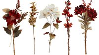 Dried flower collection with burgundy and white blooms isolated on white background for botanical design projects and crafting applications.