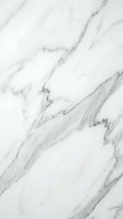 White marble stone texture with elegant gray veining patterns for luxury interior design and architectural backgrounds.