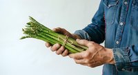 Farmer holding fresh green asparagus bunch in hands wearing denim shirt, isolated on white background for agricultural and food industry use.