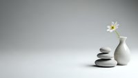 Zen spa composition with stacked black stones and white ceramic vase holding single daisy flower on clean white surface against gray gradient background.