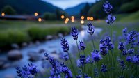 Purple lavender flowers blooming in foreground with blurred mountain stream and warm bokeh lights creating romantic evening atmosphere in natural landscape.