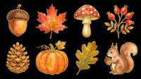 Autumn nature clipart set with acorn, maple leaf, mushroom, rosehip, pine cone, pumpkin, oak leaf, and squirrel, isolated on transparent background, for T-shirts, stickers, print on demand.