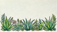 Watercolor succulents and aloe vera border arrangement on textured white background, with copy space for greeting cards and invitations.