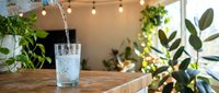 Fresh water pouring into glass on wooden table with green plants and warm lighting creating healthy lifestyle atmosphere for kitchen design.