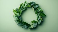 Fresh bay laurel leaves arranged in circular wreath shape on mint green background, natural organic composition for culinary and decorative designs.