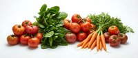 Fresh organic vegetables including ripe red tomatoes, green spinach leaves, orange carrots and dill herbs arranged on white background for healthy cooking.