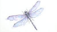 Watercolor dragonfly with delicate purple and blue wings on white background, perfect for nature-themed designs and artistic projects.