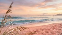 Serene coastal landscape at sunset with golden light reflecting on calm ocean waves, sandy shore, and delicate beach grass in foreground for travel and nature projects.
