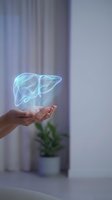 Holographic liver organ floating above open hands in modern medical office setting for healthcare technology and digital medicine concepts.