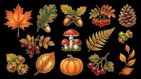 Autumn fall season leaves acorns mushrooms pumpkin berries pinecone isolated on transparent background. Ready for t-shirt design, clipart, stickers, sublimation and print-on-demand projects.