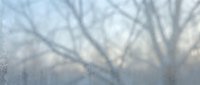 Frosted window glass with bare tree branches silhouette creating abstract winter pattern. Cold season atmospheric background for seasonal designs.