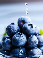Fresh ripe blueberries with water drops in macro view, natural organic berries with morning dew on dark background for healthy food concept.