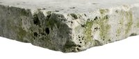 Weathered concrete corner block with moss and algae growth, showing aged texture and natural deterioration suitable for construction, renovation, and architectural design projects.