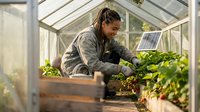 Young man with dreadlocks wearing work apron tending to potted plants inside modern greenhouse with solar panels, sustainable urban farming and organic gardening practice.