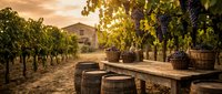 Rustic vineyard scene with grape harvest baskets on wooden table during golden hour sunset. Wine country landscape with rolling hills and traditional winery.