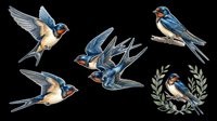 Barn swallows in flight and perched poses with blue plumage, orange-red throat markings, and cream-colored undersides, isolated on transparent background ready for t-shirt designs, clipart, stickers, and print-on-demand products.