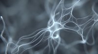 Glowing white neural network with interconnected nodes on dark gray background, depicting brain synapses and data flow in science and technology.