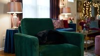 Black cat resting on emerald green velvet armchair in luxurious living room with warm lighting, table lamps, and holiday decorations for home decor and interior design projects.