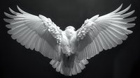 White dove with spread wings flying against dark background, dramatic lighting highlights feather detail and graceful movement in monochromatic style.