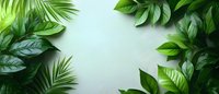 Fresh tropical palm and monstera leaves creating natural border frame on light green background. Summer or spring botanical layout for banners.