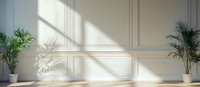 Elegant white wall with classic molding and natural sunlight casting diagonal shadows, decorated with potted palm plants on wooden floor. Modern interior design.