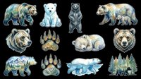 Watercolor bear clipart set with grizzly, polar, and black bears, paw prints, and forest scenes, isolated on transparent background. Great for stickers, t-shirt design, print on demand.