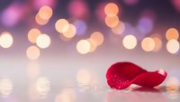Red rose petal on reflective surface with warm bokeh lights creating romantic atmosphere for Valentine's Day, love concepts, and wedding designs.