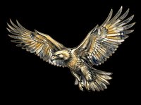 Flying eagle with spread wings, ink sketch style, isolated on transparent background. Great for t-shirt design, stickers, clipart, print on demand, and sublimation projects.