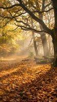 Mystical autumn forest with golden sunlight streaming through ancient oak trees and fallen leaves covering woodland path creating magical atmosphere.