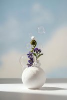 Soap bubbles floating above white ceramic vase with purple flowers against soft cloudy sky background for wellness and relaxation concepts.