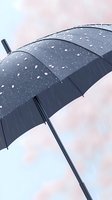 Raindrops falling on black umbrella against soft pastel sky background, close-up view showing water droplets and wet surface texture in rainy weather.