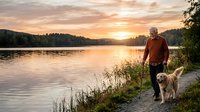 Senior man with gray hair and beard wearing brown jacket standing by calm lake at sunset with golden retriever dog on shoreline surrounded by trees and vegetation.