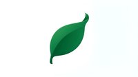Single green leaf with curved stem isolated on white background, suitable for eco-friendly designs, environmental branding, wellness packaging, and nature-themed graphics.