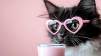 Black and white fluffy cat wearing pink heart-shaped glasses drinks milk from glass against pink background, creating whimsical Valentine's Day mood for pet lovers.