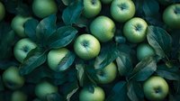 Fresh green apples with dark emerald leaves creating natural pattern. Organic harvest background with moody lighting for food photography and healthy lifestyle concepts.