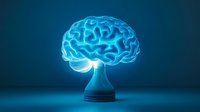 Glowing blue neon brain shaped lamp on dark background emits ethereal light, symbolizing intelligence, innovation and creative thinking in modern science.