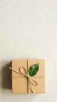 Kraft paper gift box tied with natural twine bow and fresh green leaf on neutral linen background, suitable for eco-friendly packaging, sustainable commerce, and organic product presentation.
