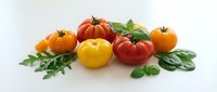 Fresh colorful heirloom tomatoes and herbs isolated on white background for healthy cooking and organic food design projects.