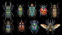 Colorful beetles and bugs collection isolated on transparent background, ready for t-shirt design, stickers, clipart, print on demand, and sublimation projects.