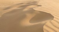Golden sand dunes with flowing curves and rippled textures creating natural desert landscape patterns under warm sunlight for travel and nature themes.