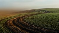 Aerial view of agricultural fields with curved plowing patterns, showing brown tilled soil and green crops in organized rows, suitable for farming and agriculture concepts.
