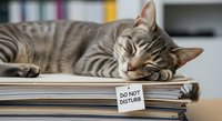 Tabby cat resting on stacked books with do not disturb sign, relaxation and reading concept for educational and lifestyle content.