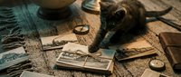 Curious tabby kitten exploring vintage photographs and antique items on rustic wooden surface with warm candlelight creating nostalgic atmosphere.