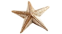 Golden metallic starfish decoration on white background, isolated marine decor element with textured surface and raised geometric pattern for design projects.