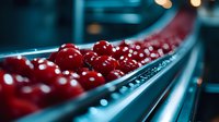 Fresh red cherries on industrial conveyor belt with water drops, selective focus on glossy fruits against blurred blue background, food processing facility.
