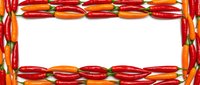 Colorful chili pepper frame border with red and orange hot peppers arranged in decorative pattern on white background for culinary design projects.