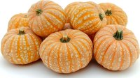 Fresh orange mini pumpkins with ribbed texture and green stems arranged in group on white background, isolated seasonal autumn produce for harvest decoration.