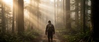 Lone hiker walking through misty forest path with dramatic sunbeams filtering through tall trees, creating atmospheric outdoor adventure scene.